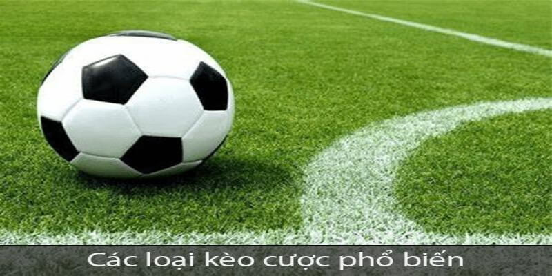 Các loại kèo cá cược thể thao New88 phổ biến