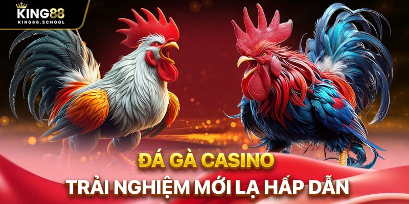 Đá Gà Casino King88 – Sảnh Đá Gà Đẳng Cấp Quốc Tế 1 Đá gà casino trải nghiệm mới lạ hấp dẫn