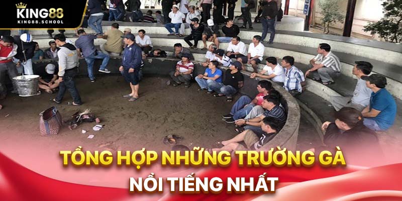 Đá Gà Casino King88 – Sảnh Đá Gà Đẳng Cấp Quốc Tế 3 Tổng hợp những trường gà nổi tiếng nhất